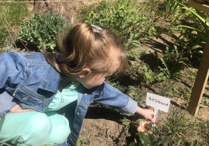 Dziewczynka podpisuje kwiaty w ogrodzie.