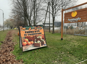 Wycieczka na farmę dyń. Dyniolandia - farma wuja Toma.